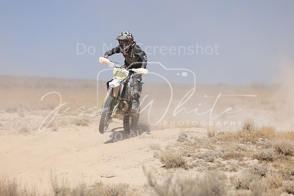 IMG_3732-636n