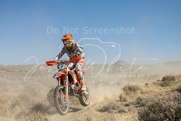 IMG_7463-17n