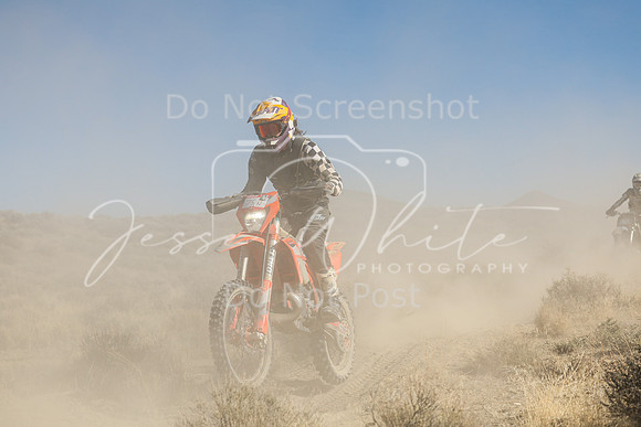 IMG_7579-75n