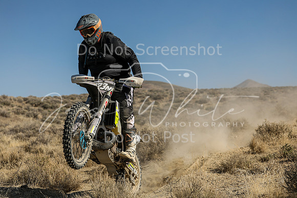 IMG_7689-223n