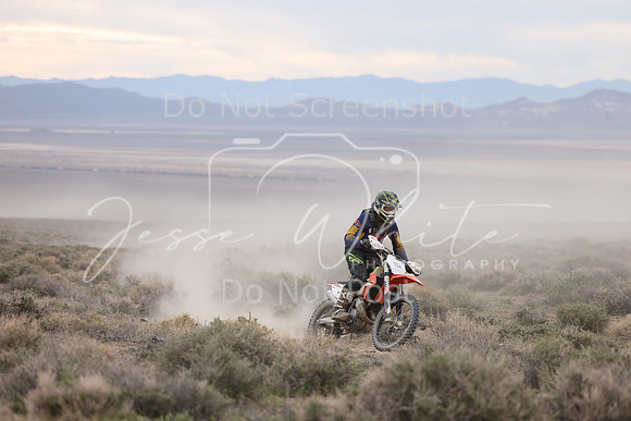 IMG_7539-53a