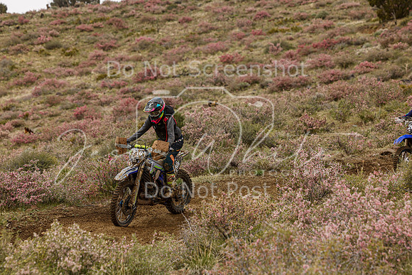 IMG_2439-206