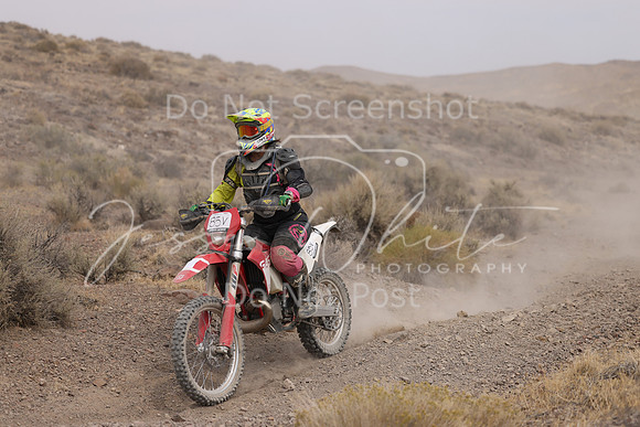 IMG_9003-85v