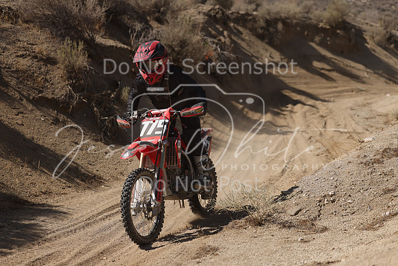 IMG_7235-775v