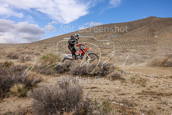 IMG_3916-972v