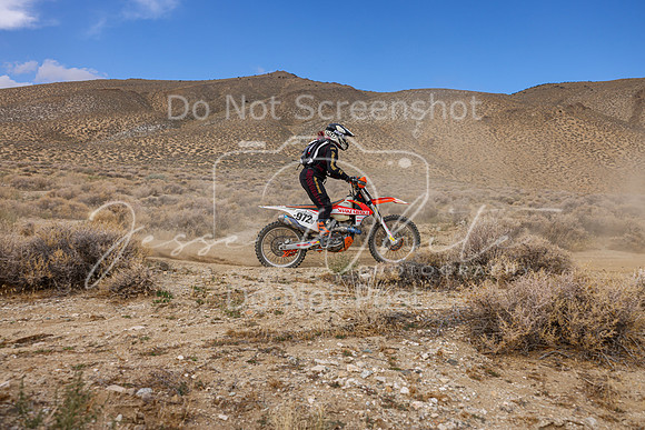 IMG_3919-972v