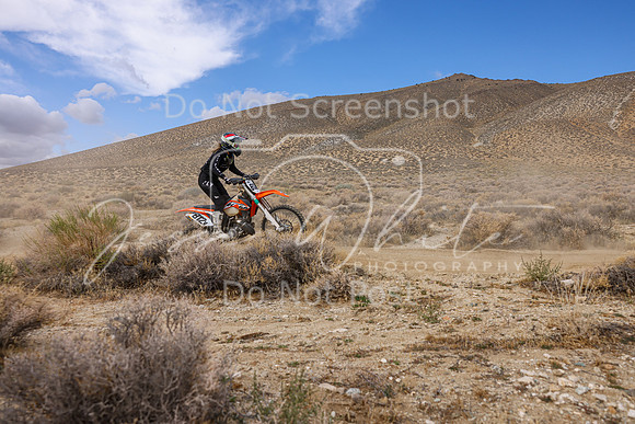 IMG_3931-872v