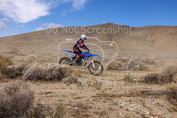 IMG_3952-723v