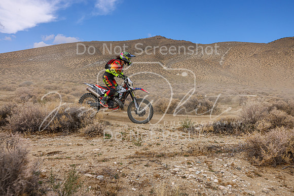 IMG_3943-97v