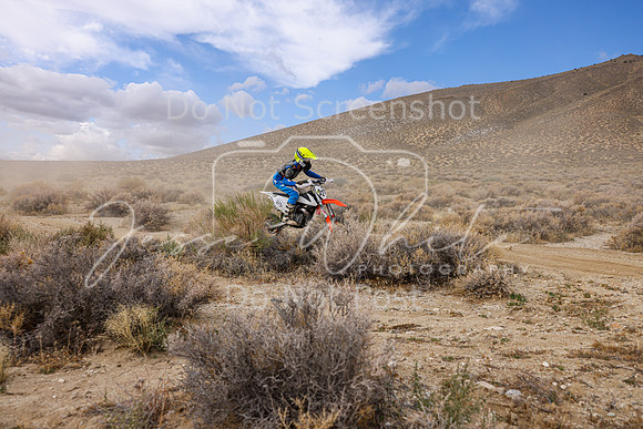 IMG_3958-521y