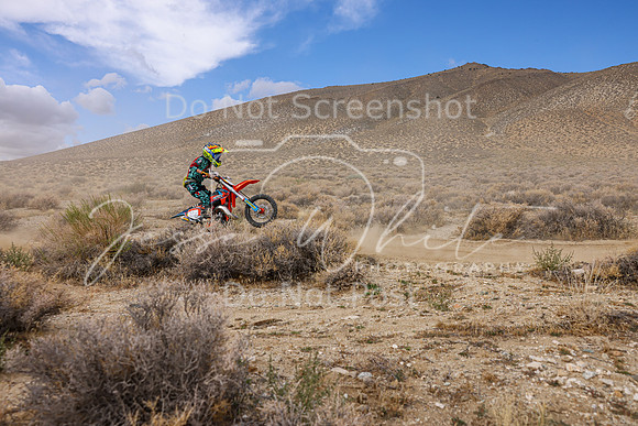 IMG_3963-39y