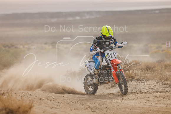 IMG_4486-521y