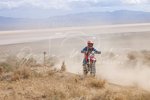 IMG_4553-225j