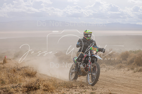 IMG_4602-85v