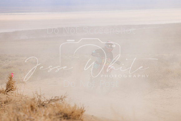 IMG_4650-775v
