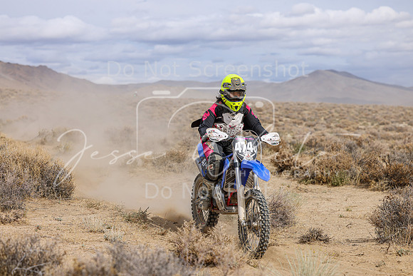 IMG_4790-474v