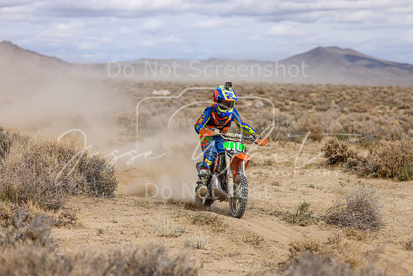 IMG_4880-111y