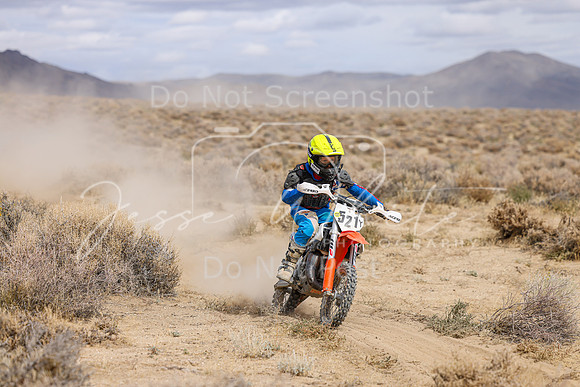 IMG_4917-521y