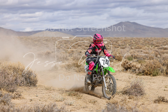 IMG_4966-74v