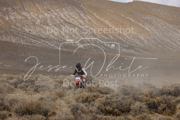 IMG_5119-989v