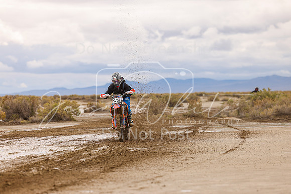 IMG_7261-221a
