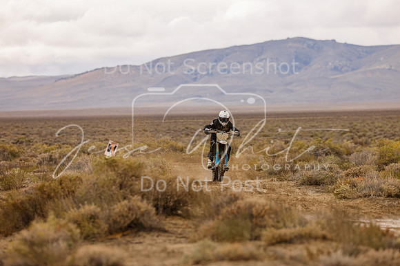 IMG_7646-91t