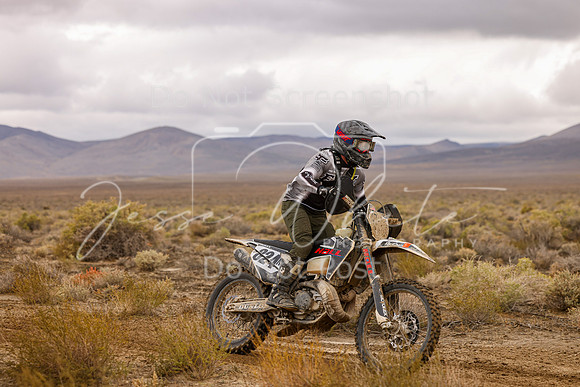 IMG_7704-824n