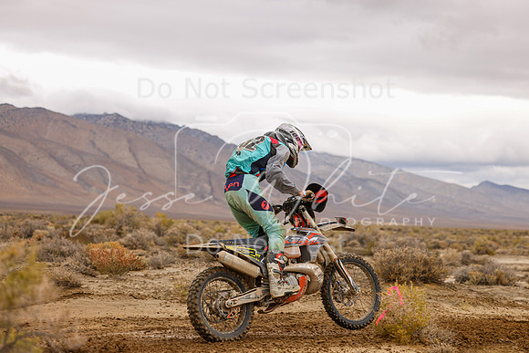 IMG_7783-752n