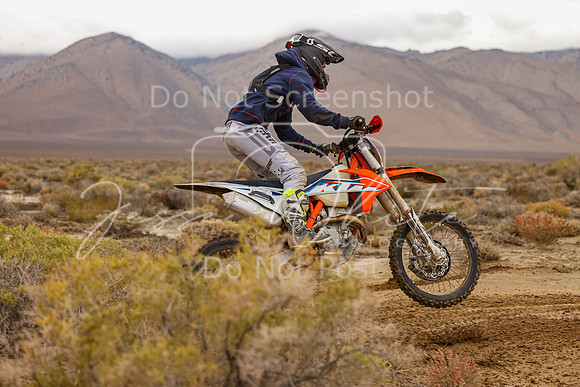 IMG_7849-442t