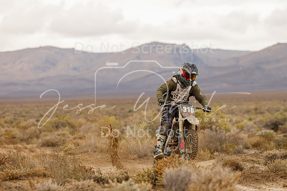 IMG_7910-310x
