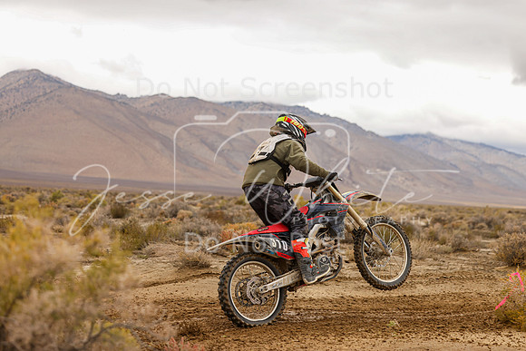 IMG_7914-310x