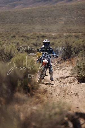 IMG_4612-812v