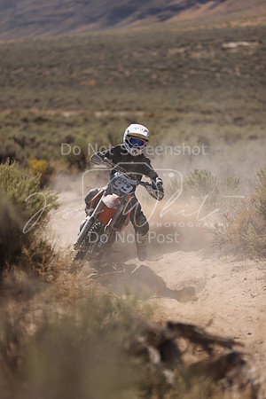 IMG_4496-99a