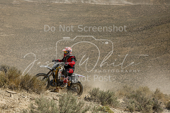 IMG_3409-n2p