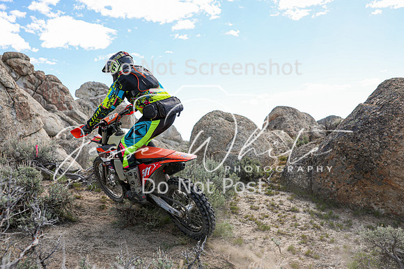 IMG_8506-501