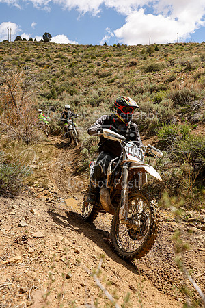 IMG_3516-444
