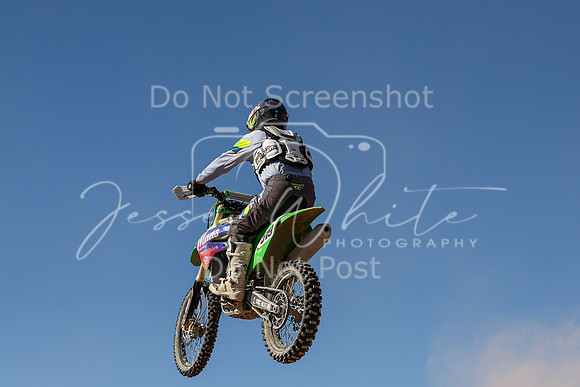 IMG_7596-519t