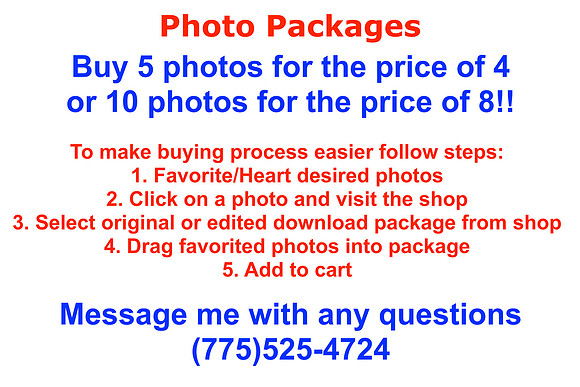 aaa INFO copy