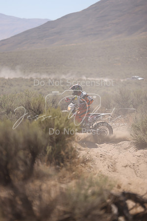 IMG_4762-246n
