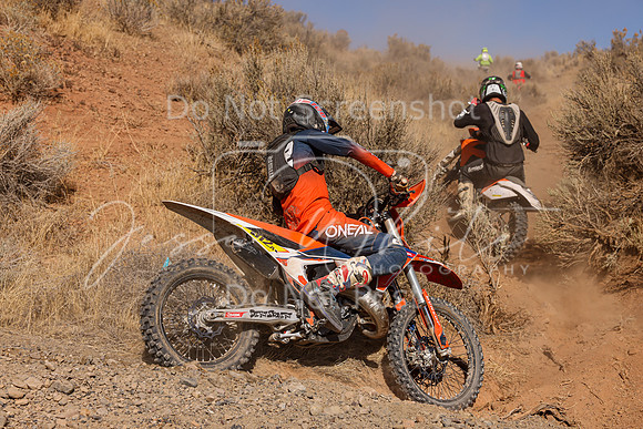 IMG_3010-812a