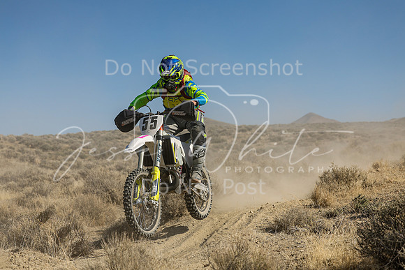 IMG_7713-55s