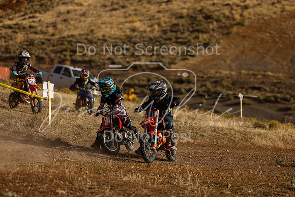 IMG_8066-8z-208z