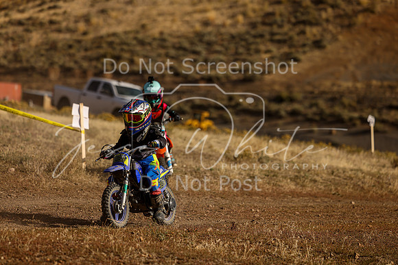 IMG_8074-308z