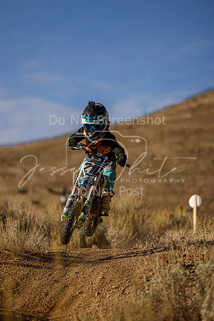 IMG_8199-210z