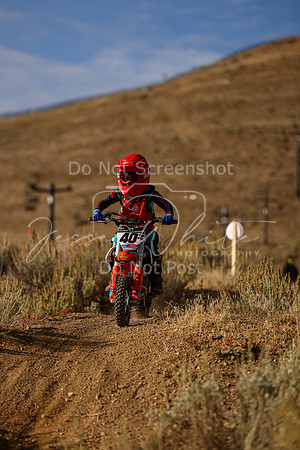 IMG_8208-40z
