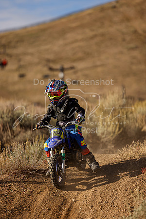 IMG_8238-308z