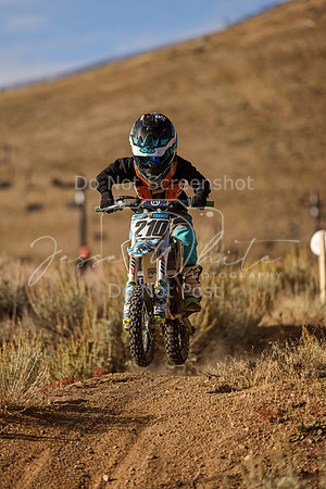 IMG_8241-210z
