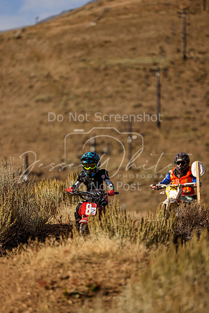 IMG_8249-8z
