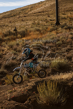IMG_8274-210z