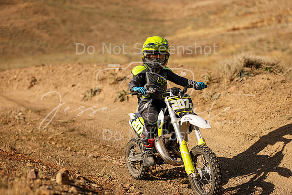IMG_8378-207z